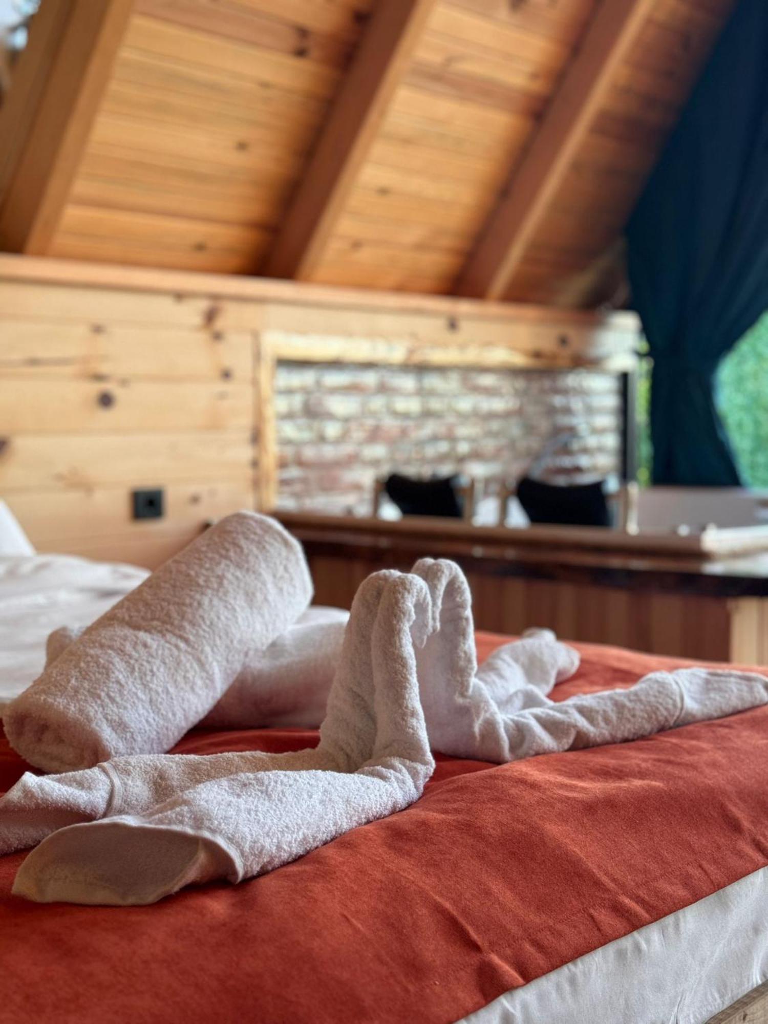 Dvabi Suit Bungalov Çamlıhemşin Dış mekan fotoğraf